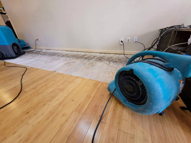 Professional Water Damage Repair technician working in Colorado Springs, CO